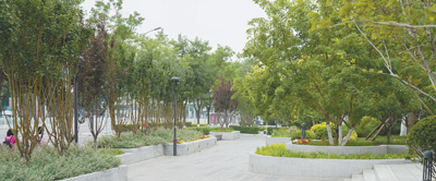 1593805205562_1.jpg