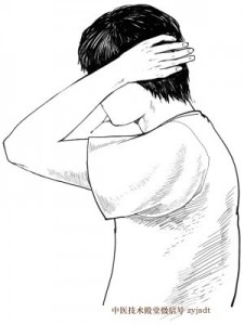 384-225x300.jpg