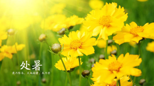 u=737976638,2220518058&fm=26&fmt=auto&gp=0.jpg
