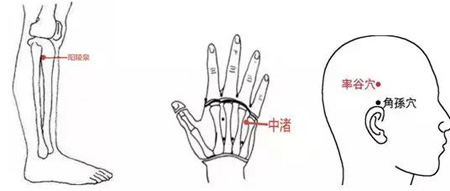 5de87fa412e55.jpg
