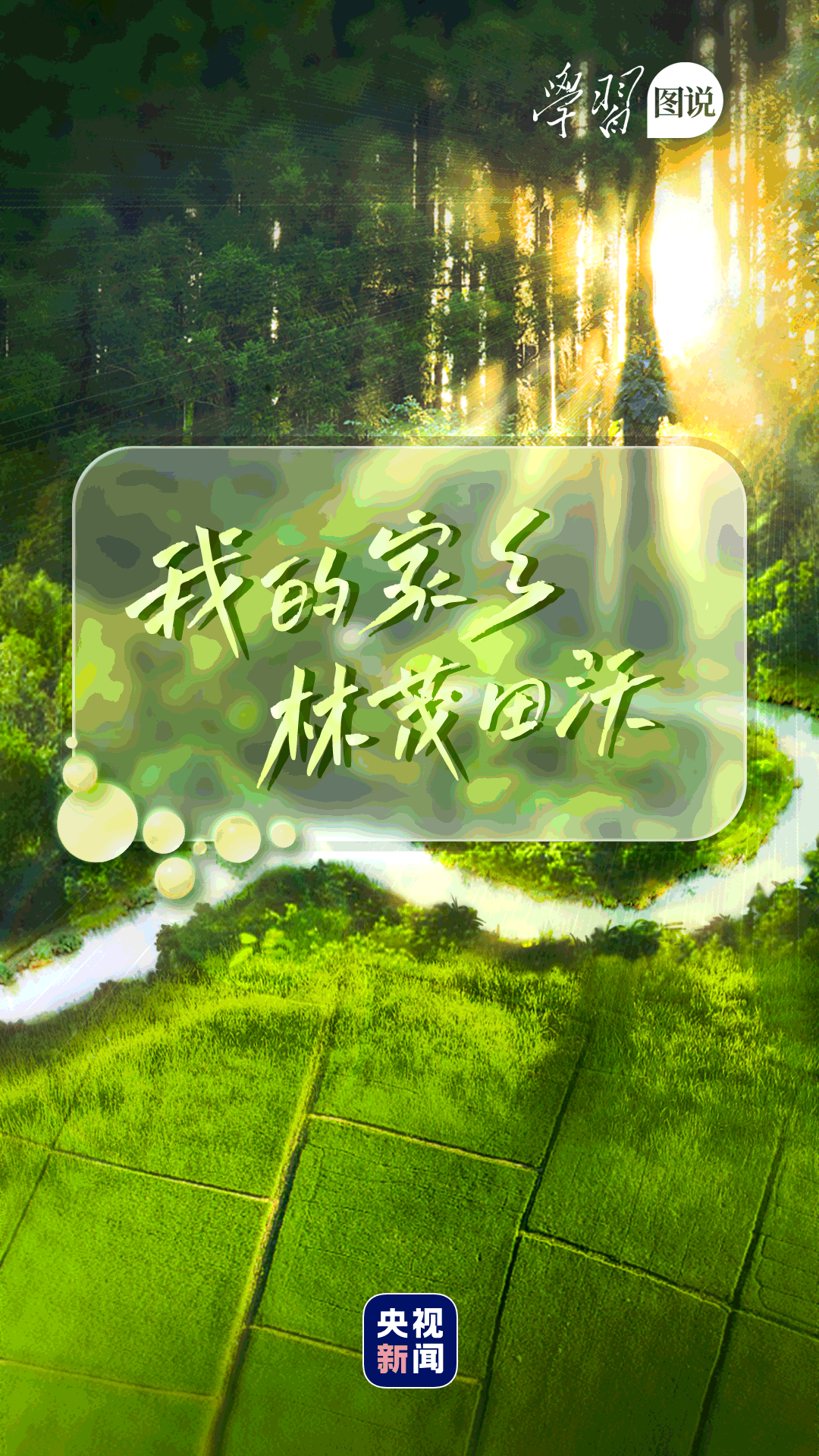 9581521966349083114.gif