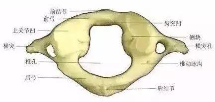 image.jpeg