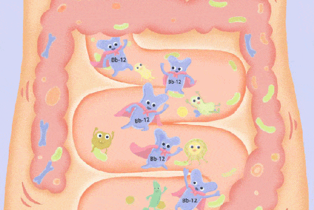 image.gif