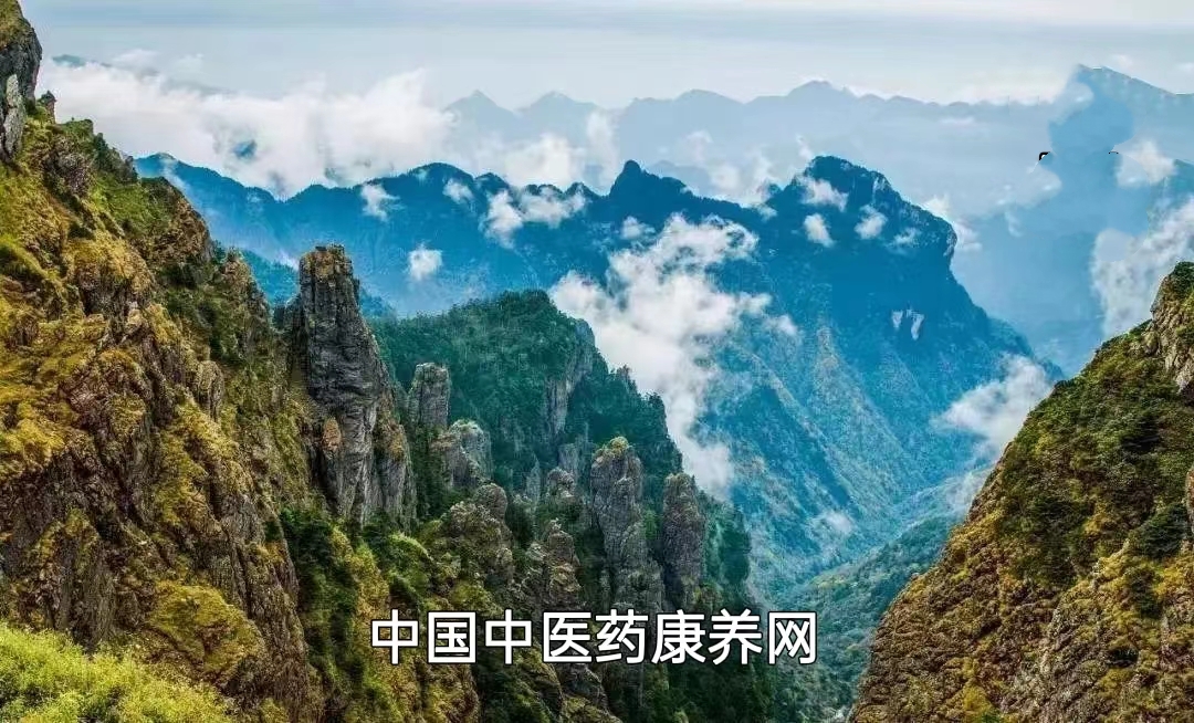 162961670152171_.pic.jpg