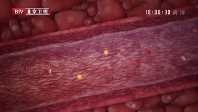 image.gif