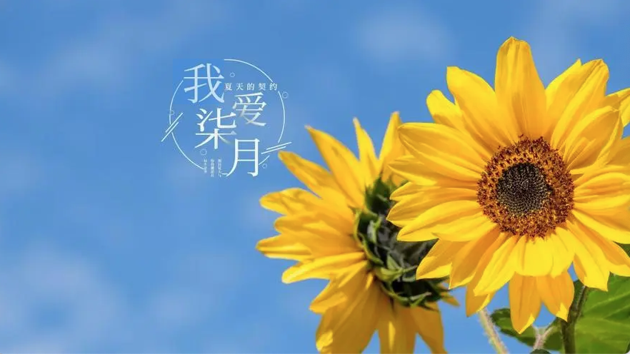 WeChatbd226ba8d11d925db9e5f0f248f65f53.png
