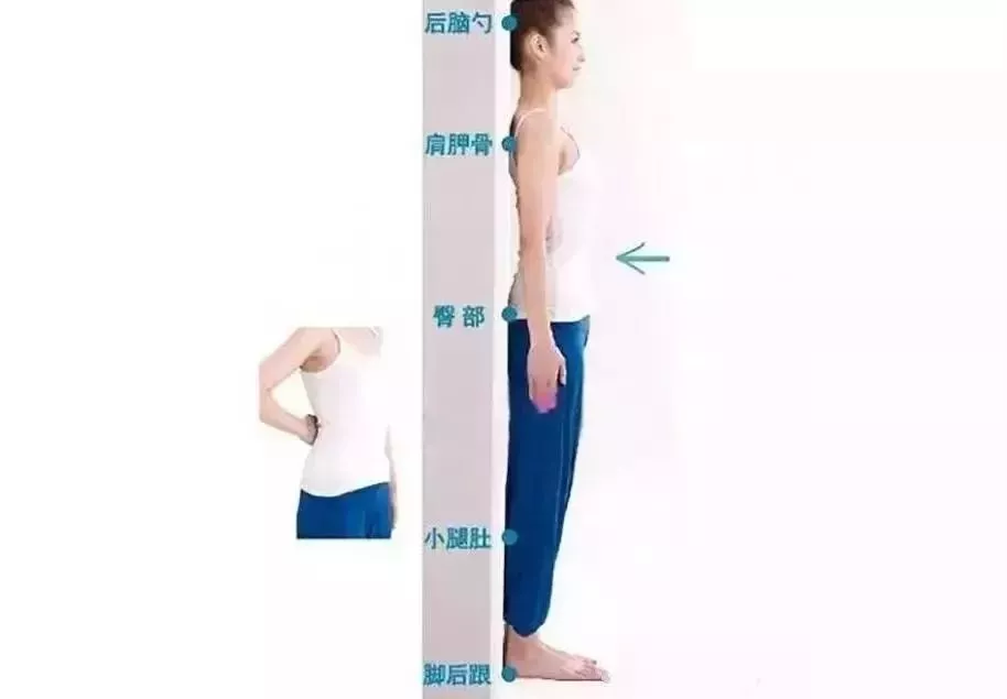 1761881994382072.png image.png