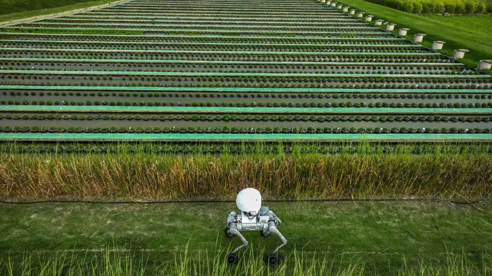 1769065936199216.png image.png