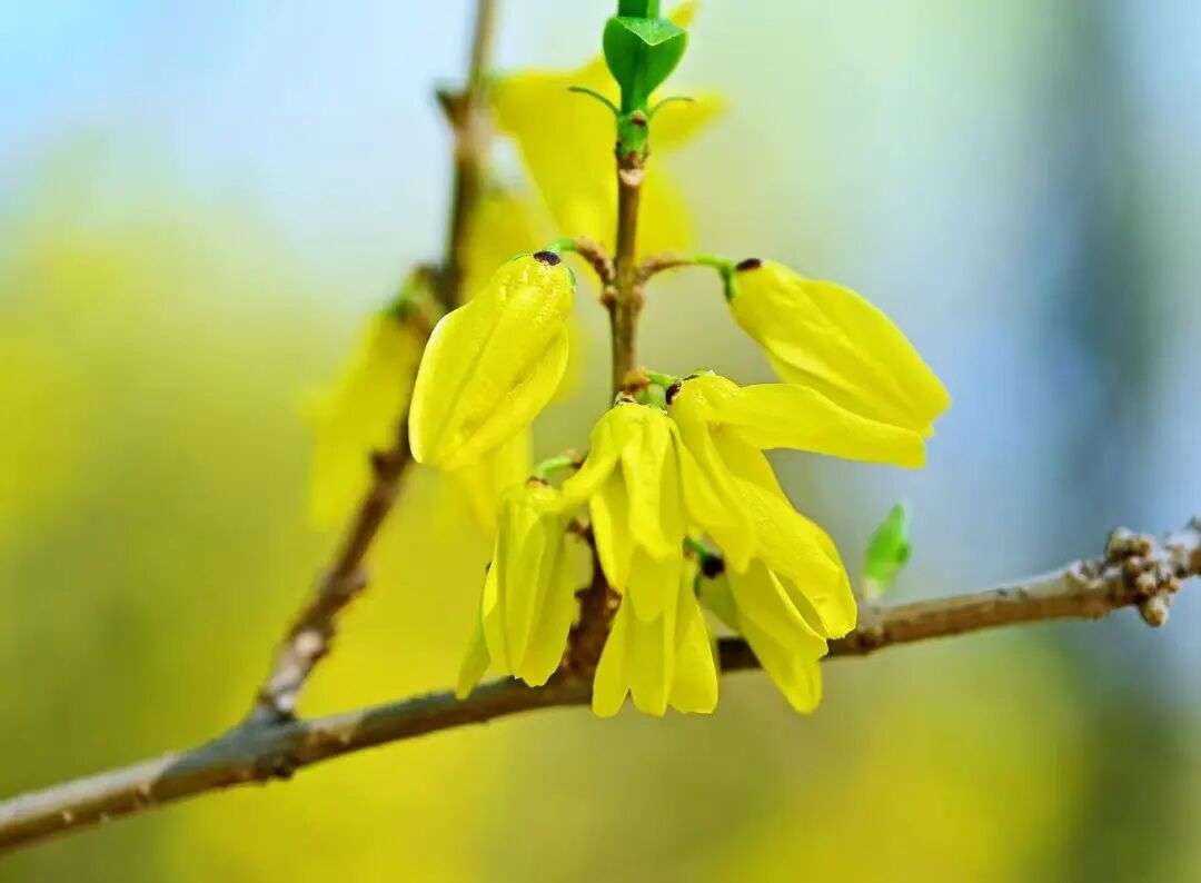 1774593789152257.jpg 57ed8649bddd3cc9556f7c7e6a5e5649.jpg