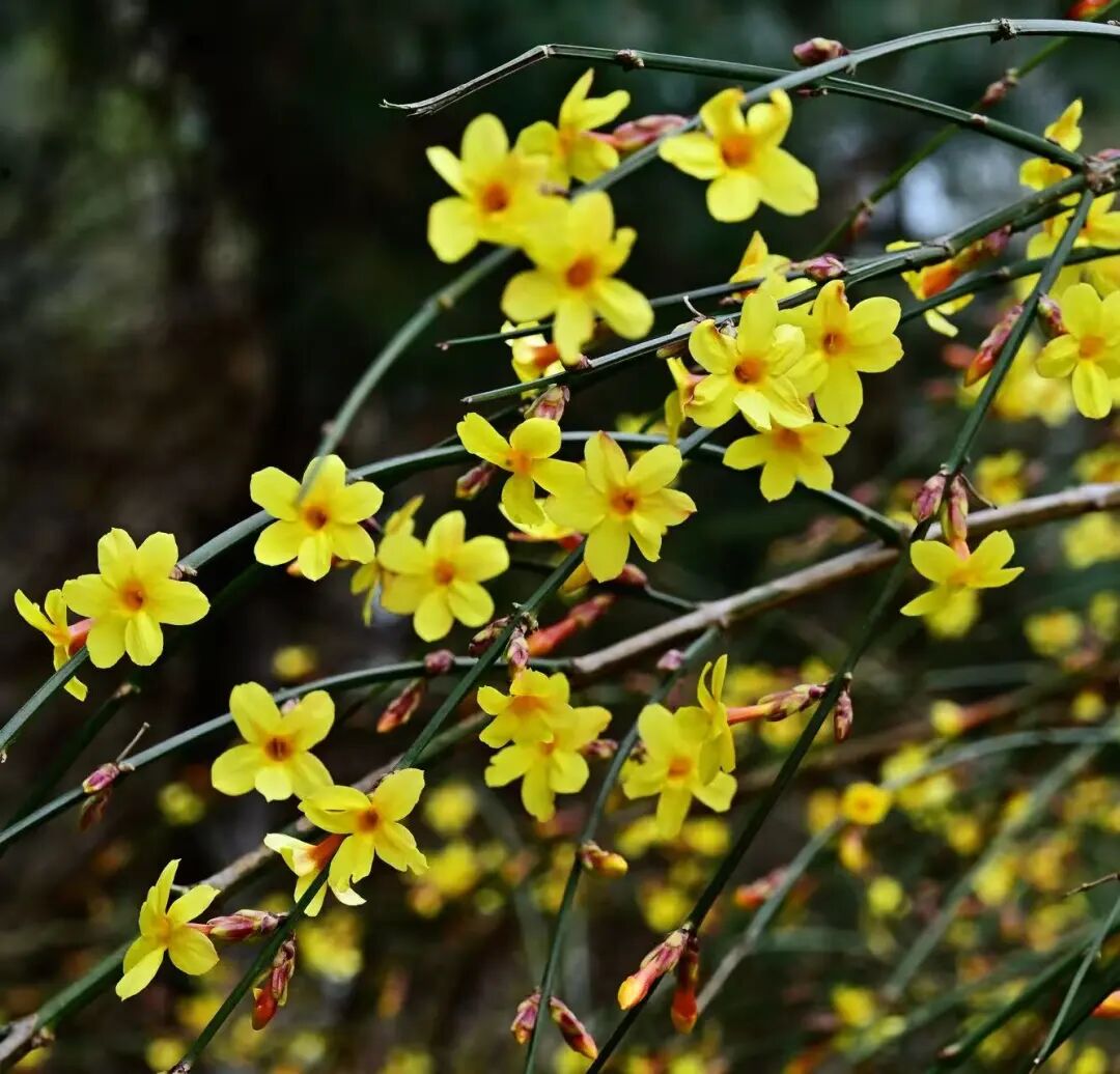 1774593853245495.jpg 39a4f8a238863d953da82f0b38f0200a.jpg