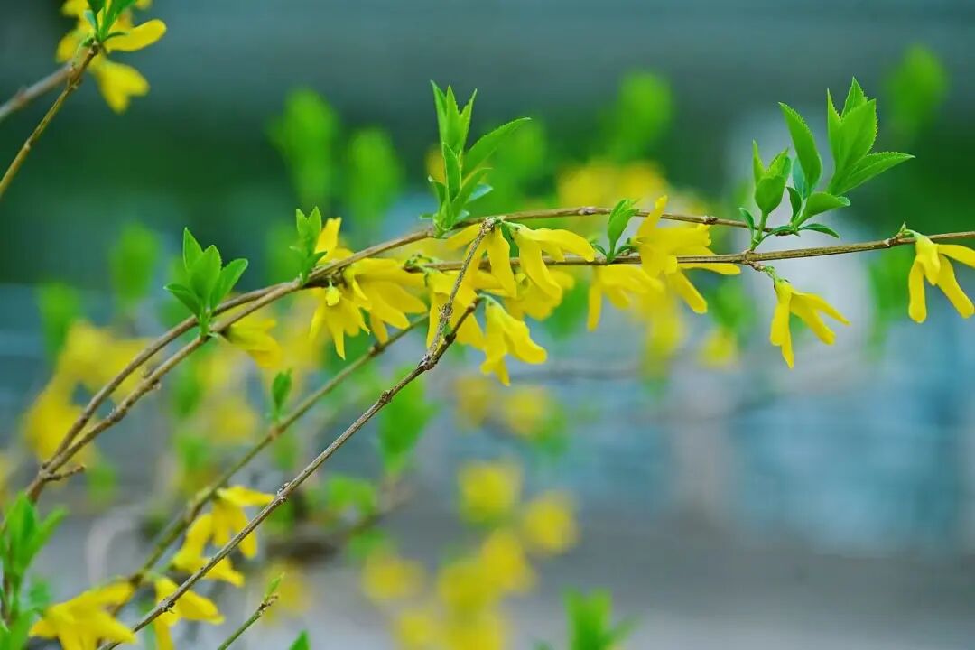 1774593882735341.jpg 983ab501978a417022ec7c688a39fa76.jpg