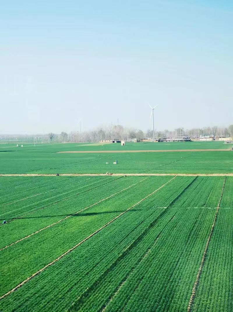 1774941606739037.jpg 8ee90e016c586deb23da83802c4d3f69.jpg