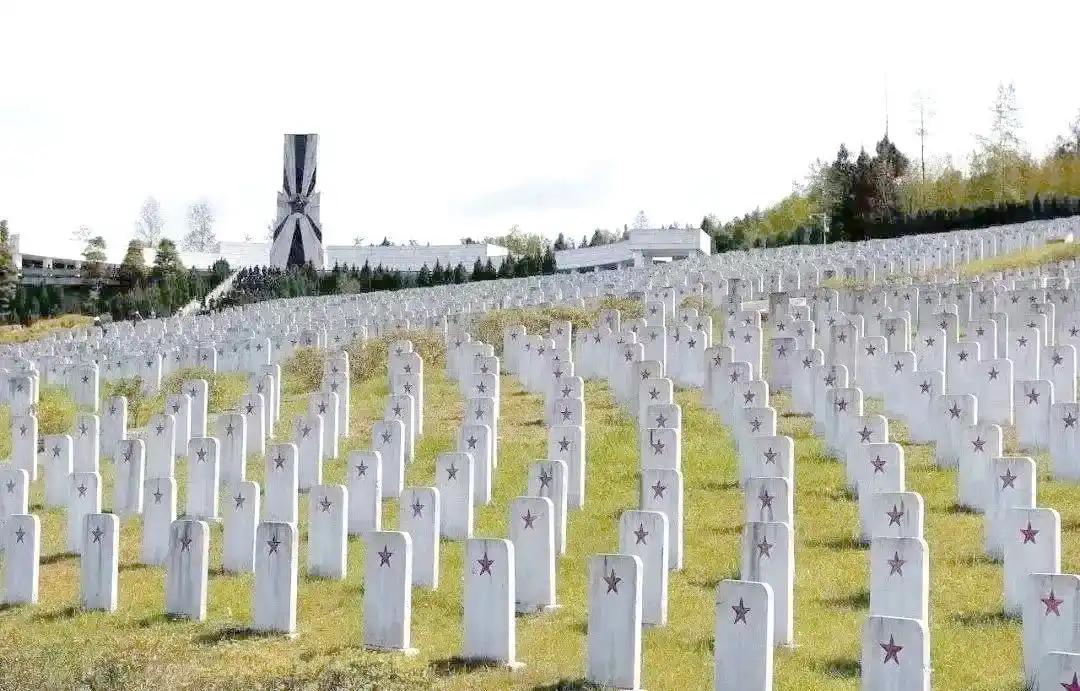 1775437366555285.jpg 58a5c5e1aaaa4135853c221cc255ff4e~tplv-tt-origin-web_gif.jpg