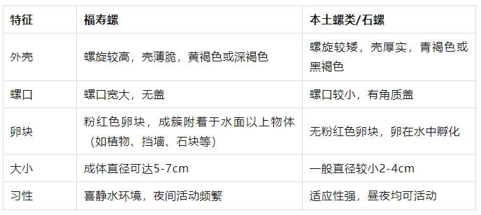 1775631138387550.png 85cdcc303e8d2c0c8a7a84fa2bdccd7d.png