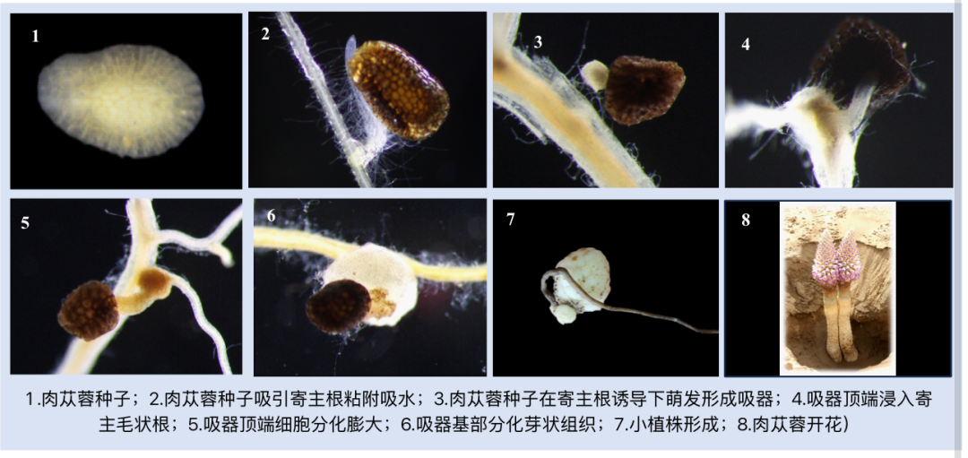 1c43b465a797c13662ab3df064addc91.png
