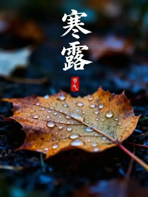 ce3c5177e13c12cd3af3ea30726f76fb.png